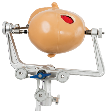 Phantom TK Triple Dogbone Interface With Skull Clamp Starburst Triple  Dogbone Interface With Skull Clamp Starburst - Tedan Surgical Innovations